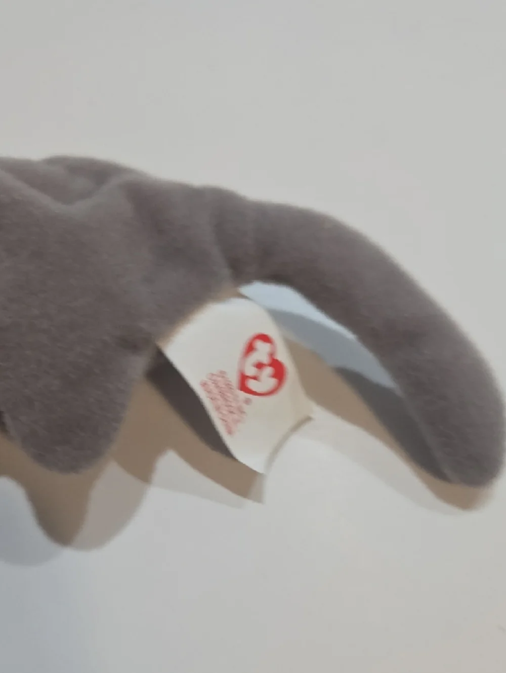 Ty antry anteater